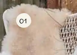 Horta Crèmekleurig Kunstbont Kleed aanbieding