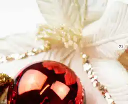 Horta Fluwelen Poinsettia aanbieding