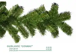 Horta Guirlande Conway aanbieding