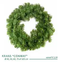 Horta Krans Conway aanbieding