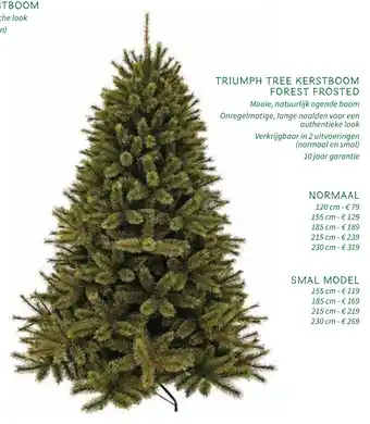 Horta Triumph Tree Kerstboom Forest Frosted aanbieding