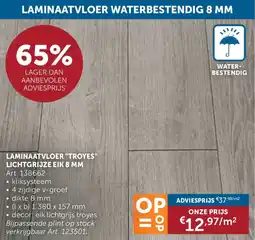 Zelfbouwmarkt Laminaatvloer Troyes Lichtgrijze Eik 8 mm aanbieding