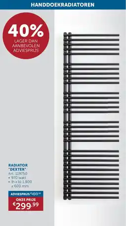 Zelfbouwmarkt Handdoekradiatoren Radiator Dexter aanbieding