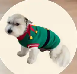 Carrefour kersttrui voor Honden aanbieding