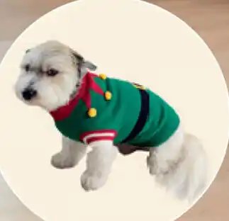 Kersttrui voor Honden