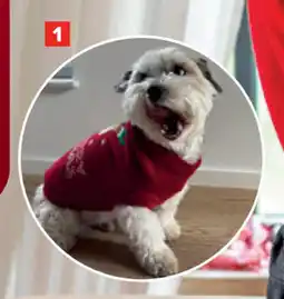 Carrefour Kersttrui voor honden aanbieding