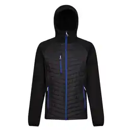 Decathlon Heren Navigate Quilted Hybride Jas (Zwart/Nieuw Royal) aanbieding