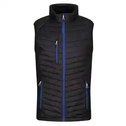 Decathlon Heren Gewatteerd Hybride Gilet (Zwart/Nieuw Royal) aanbieding