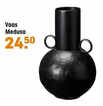 Kwantum Vaas medusa aanbieding