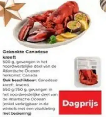 Gekookte Canadese kreeft 500g