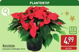 ALDI Kerstster aanbieding