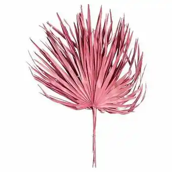 Palmblad Naturel Roze