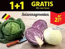 Cora Kool aanbieding