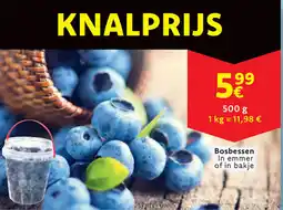 Cora Bosbessen aanbieding