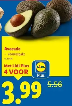 Lidl Avocado aanbieding