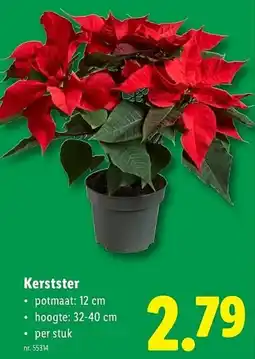 Lidl Kerstster aanbieding