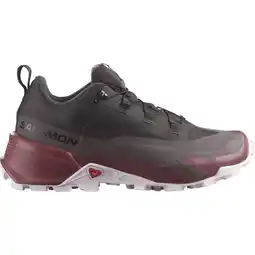 Decathlon Damestrekkingschoenen Salomon Cross Hike 2 Gore-Tex aanbieding