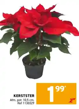 Trafic Kerstster aanbieding