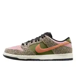 Decathlon Schoenen SB Dunk Low Arts-Rec aanbieding