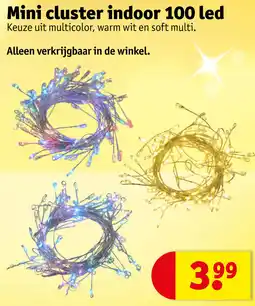 Kruidvat Mini cluster indoor 100 led aanbieding