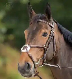 Decathlon Hfi Hoofdstel Mexican Bruin aanbieding