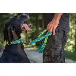 Decathlon Halsband voor hond Névé - Inlandsis aanbieding