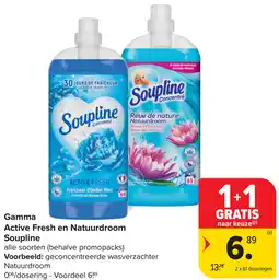 Carrefour Gamma Active Fresh en Natuurdroom Soupline aanbieding