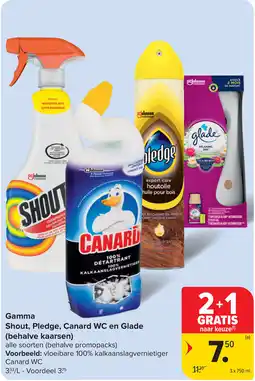 Carrefour Gamma Shout, Pledge, Canard WC en Glade aanbieding
