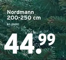 GAMMA Nordmann 200-250 cm aanbieding