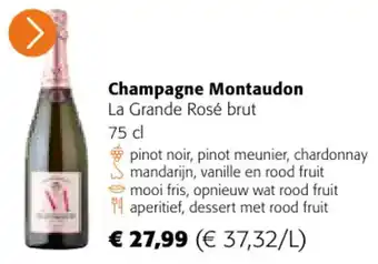 Champagne Montaudon