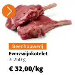 Colruyt Everzwijnkotelet aanbieding