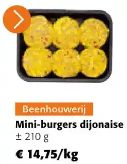 Colruyt Mini Burgers Dijonaise aanbieding
