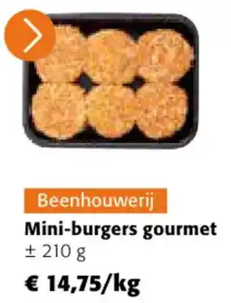 Colruyt Mini Burgers Gourmet aanbieding