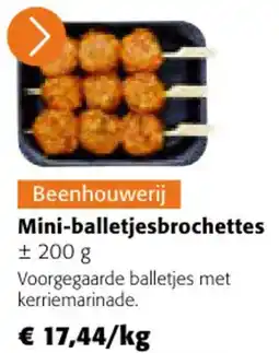 Colruyt Mini Balletjesbrochettes aanbieding