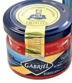 Alvo Gabriel foreleieren aanbieding