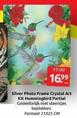Boekenvoordeel Silver photo frame crystal art kit hummingbird partial aanbieding