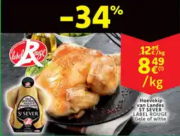 Cora Hoevekip van landes st sever aanbieding