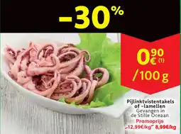 Cora Pijlinktvistentakels of lamellen aanbieding