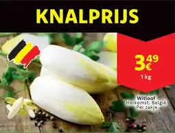 Cora Witloof aanbieding