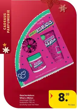 Carrefour Geschenkdoos What a Melon aanbieding