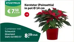 AVEVE Scheurich bloempot Dark red 883/17 aanbieding
