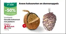 AVEVE Gevulde kokosnoot met platform aanbieding