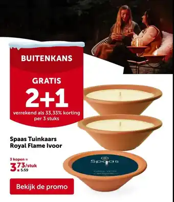 Spaas Tuinkaars Royal Flame Ivoor