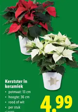 Lidl Kerstster in keramiek aanbieding