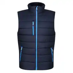 Decathlon Thermische bodywarmer voor heren (Marine / Frans Blauw) aanbieding