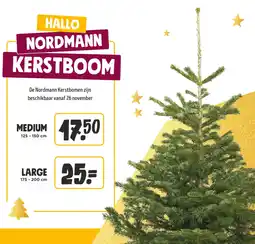 Jumbo De Nordmann Kerstbomen aanbieding