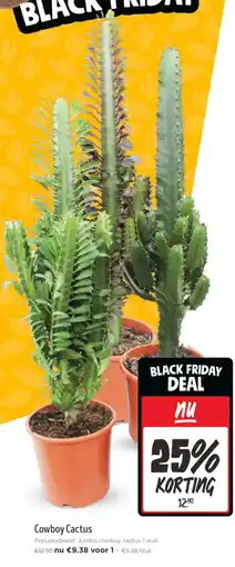 Jumbo Cowboy Cactus aanbieding