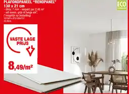 Hubo Plafondpaneel renopanel aanbieding