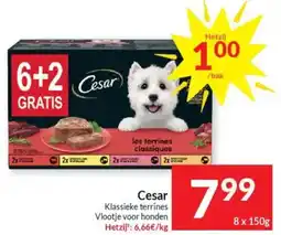 Intermarché Cesar Klassieke terrines Vlootje voor honden aanbieding