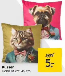 Xenos Kussen aanbieding